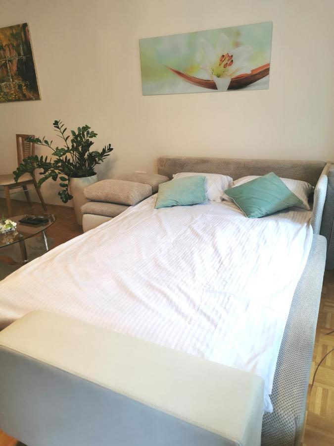 Cozy Apartment Ljubljana With Free Parking And Balcony Luaran gambar
